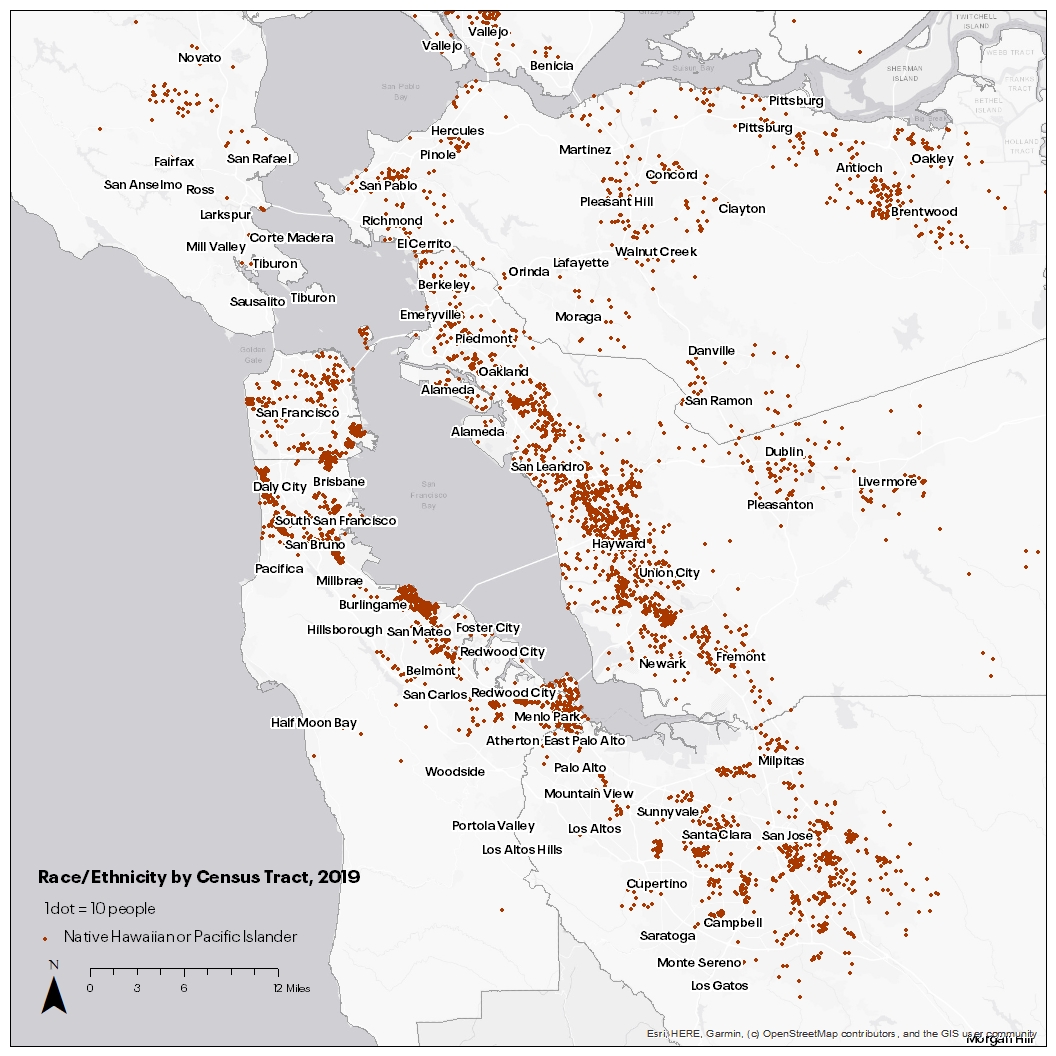 Pacific Islanders are Concentrated in San Francisco, East Palo Alto, and Hayward