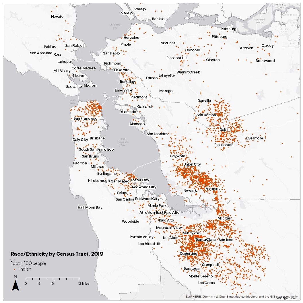  Indian Populations are Concentrated in Silicon Valley and East Bay Cities Like Fremont and Dublin
