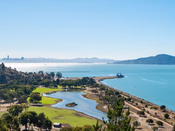 A view of San Francisco Bay with a park, lagoon, and the city skyline in the distance under a clear blue sky.