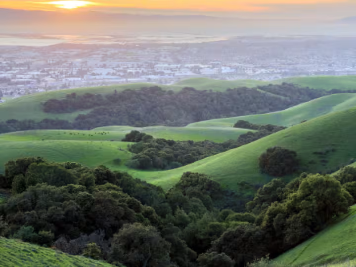 A scenic view of the Bay Area at sunset, with rolling green hills in the foreground and a cityscape in the distance.