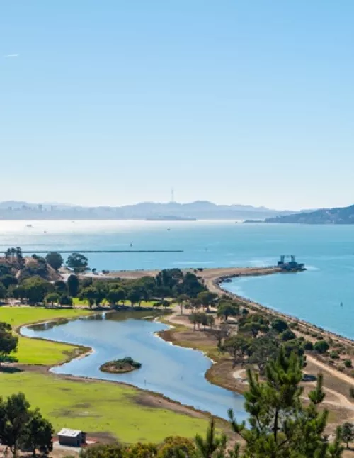 A view of San Francisco Bay with a park, lagoon, and the city skyline in the distance under a clear blue sky.
