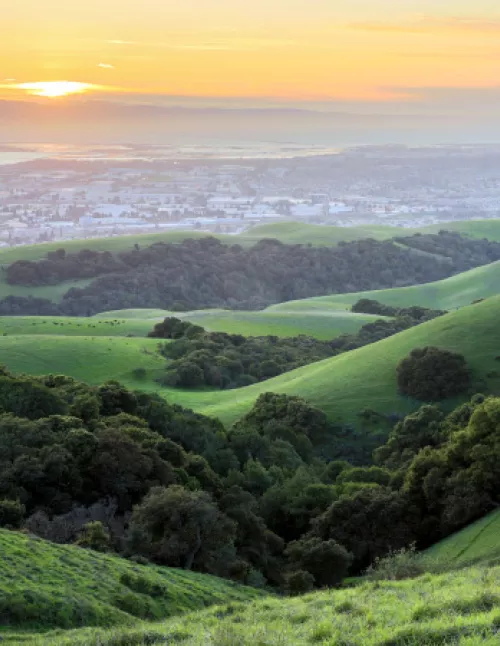 A scenic view of the Bay Area at sunset, with rolling green hills in the foreground and a cityscape in the distance.