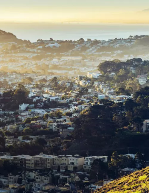 A scenic view of a hilly residential area in the San Francisco Bay Area, with houses surrounded by trees and sunlight filtering through the haze.